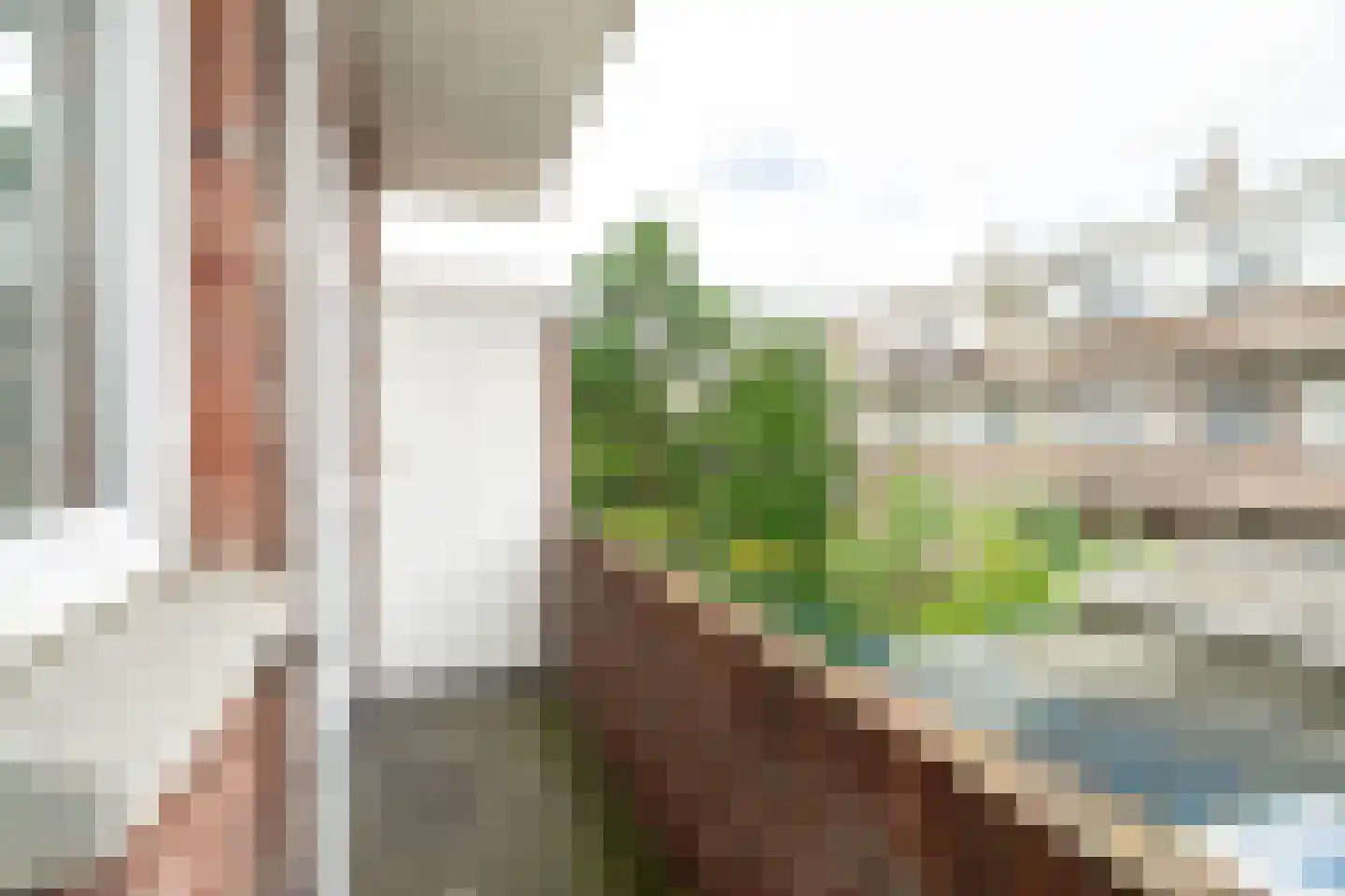 Paets van Troostwijkstraat 101 Den Haag thumbnail 14