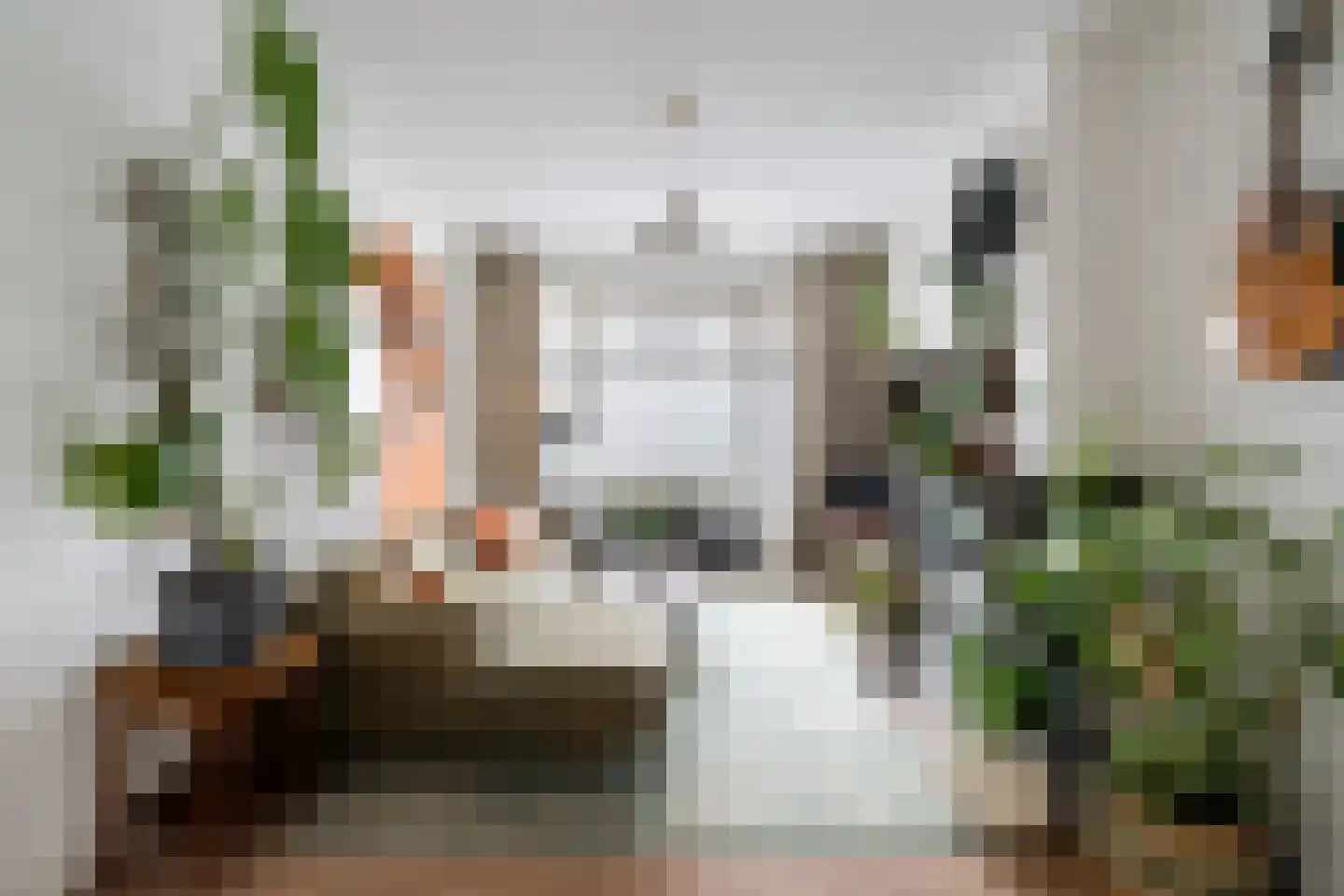 Paets van Troostwijkstraat 107 Den Haag thumbnail 5