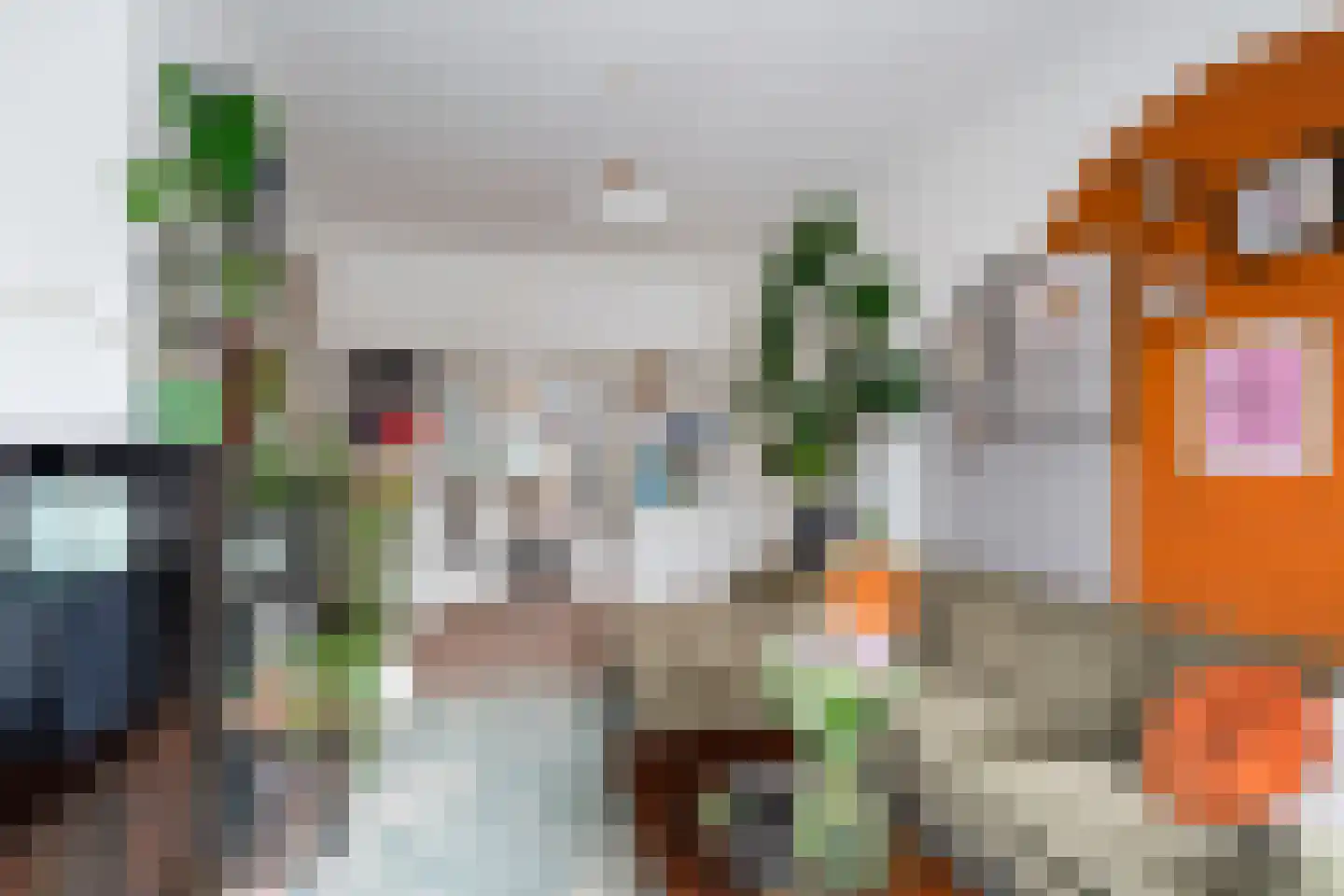 Paets van Troostwijkstraat 107 Den Haag thumbnail 6