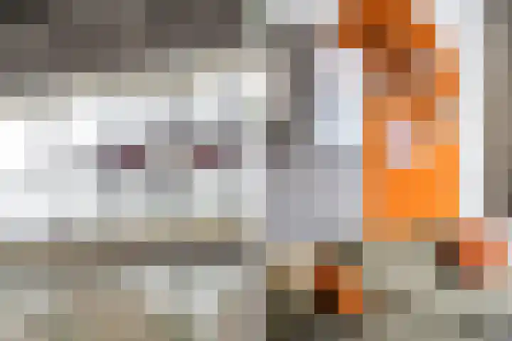 Paets van Troostwijkstraat 107 Den Haag thumbnail 7