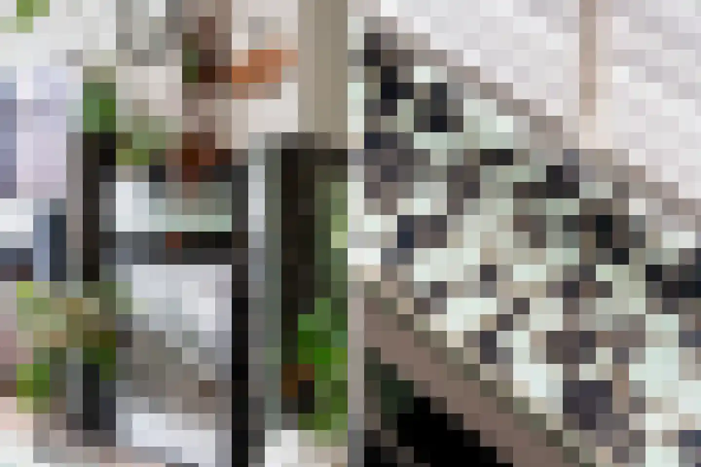 Paets van Troostwijkstraat 107 Den Haag thumbnail 8