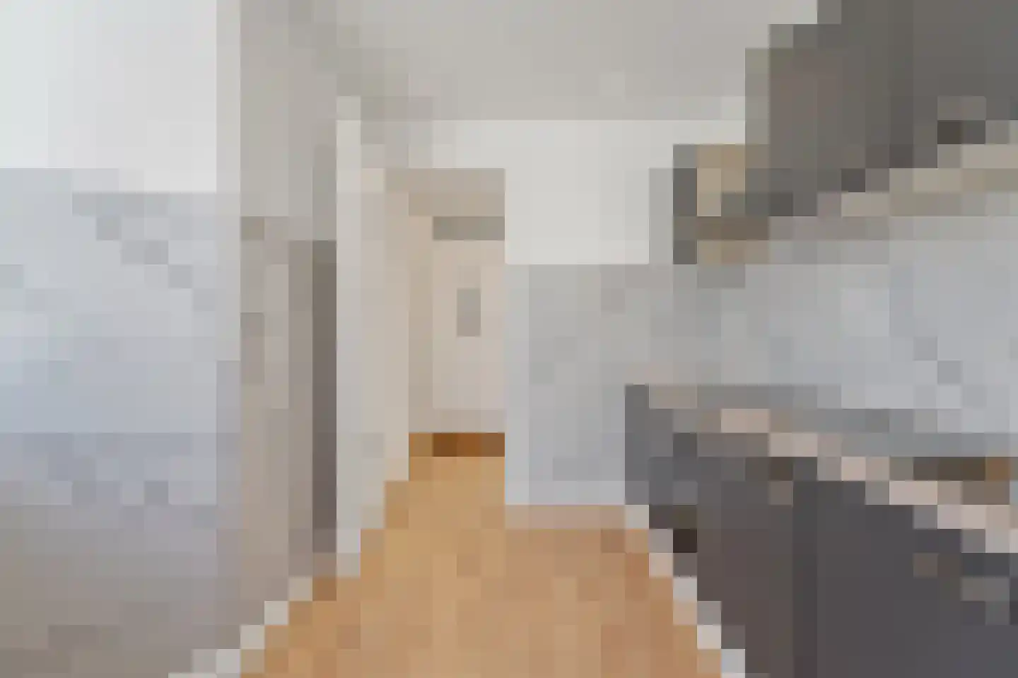 Paets van Troostwijkstraat 11 Den Haag thumbnail 12