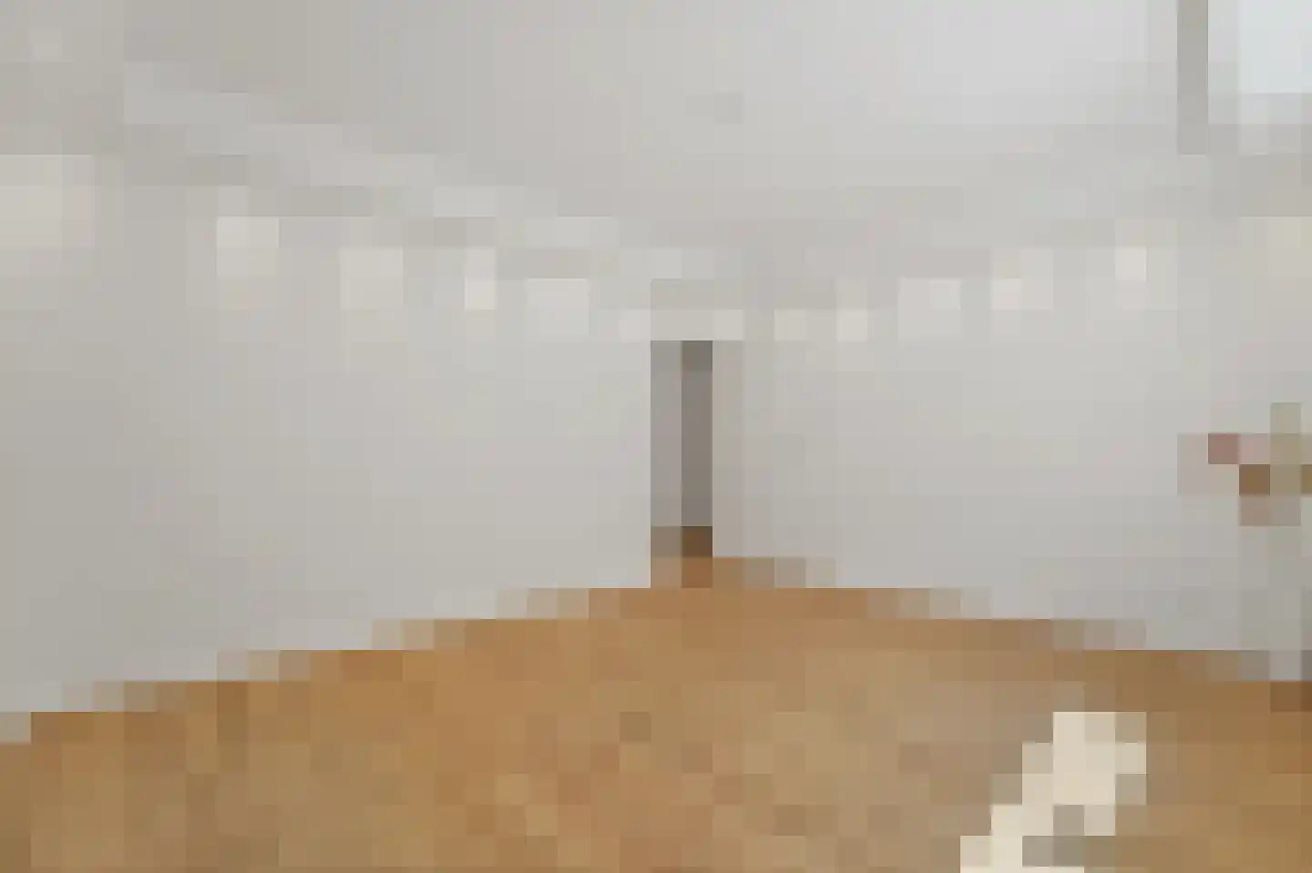 Paets van Troostwijkstraat 11 Den Haag thumbnail 5