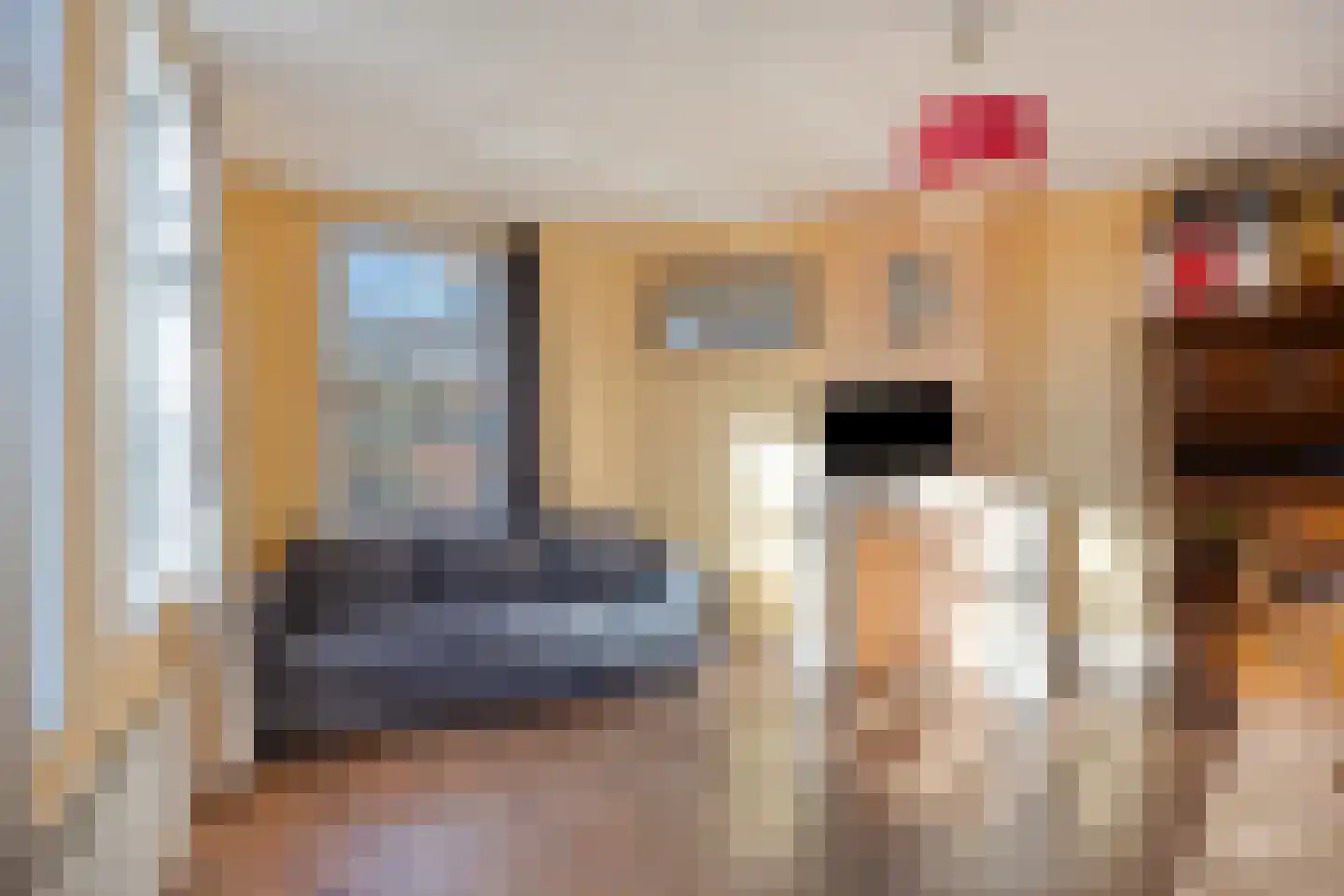Paets van Troostwijkstraat 155 Den Haag thumbnail 11