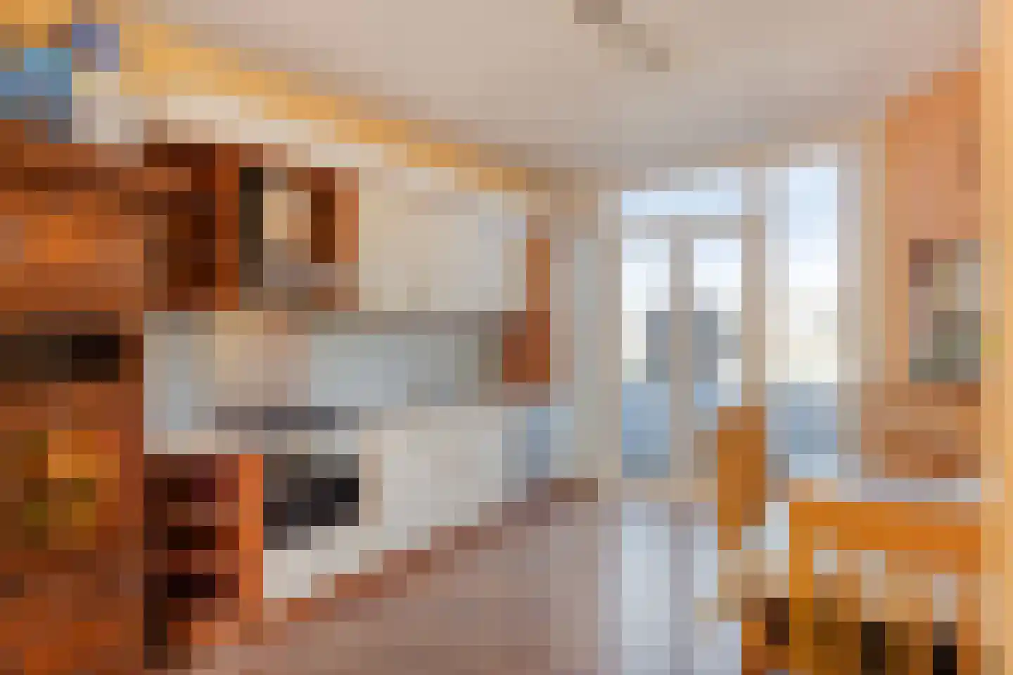 Paets van Troostwijkstraat 155 Den Haag thumbnail 13