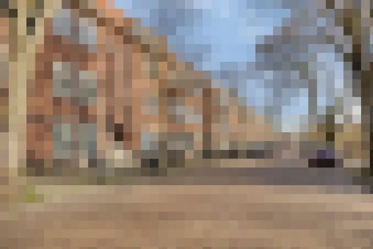 Paets van Troostwijkstraat 155 Den Haag thumbnail 33
