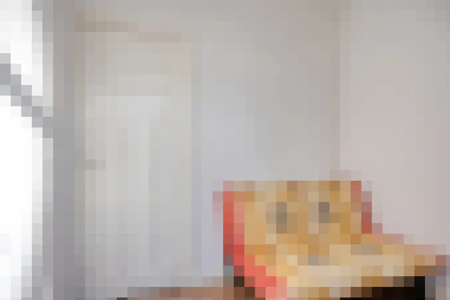 Paets van Troostwijkstraat 155 Den Haag thumbnail 8