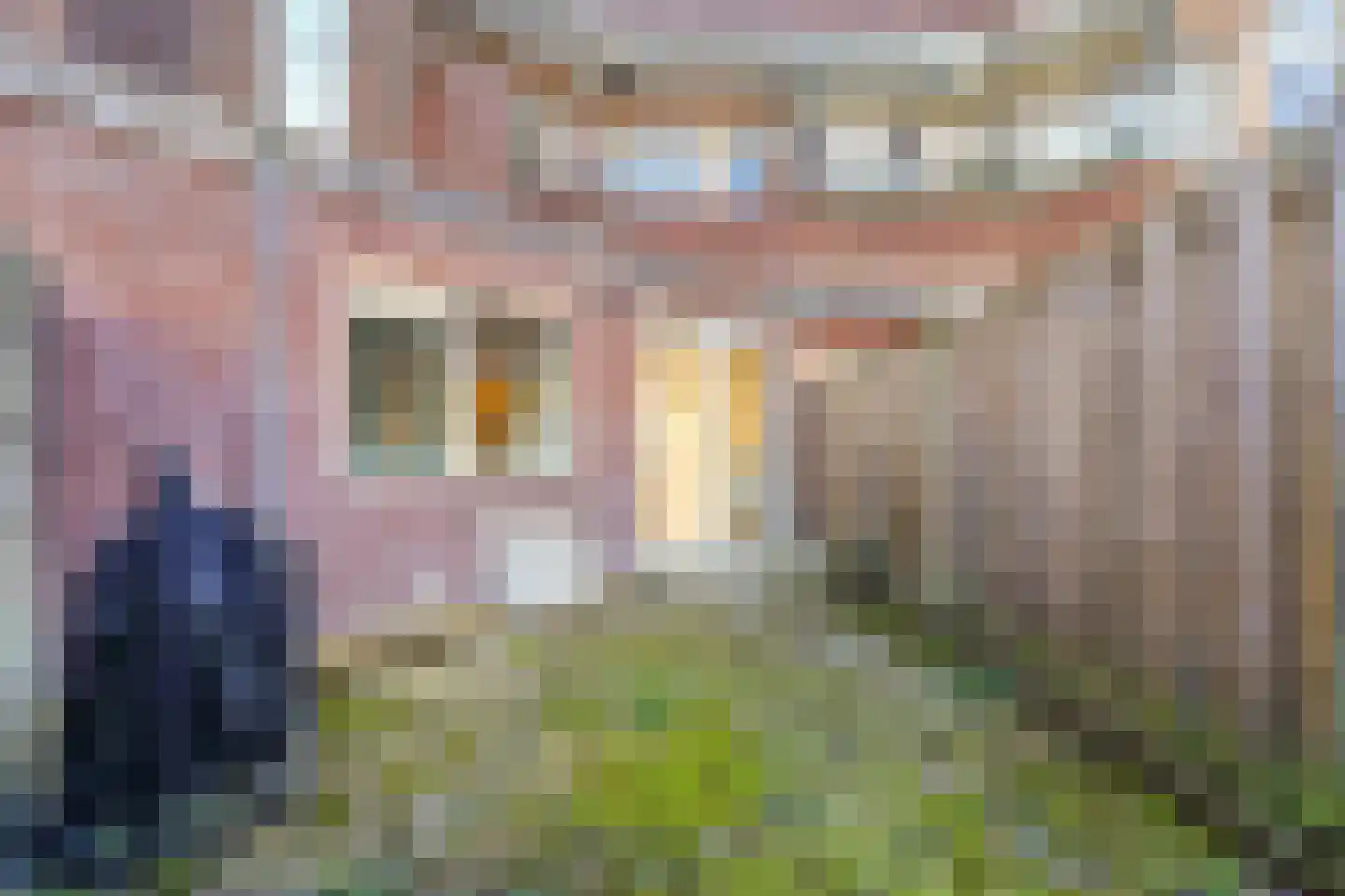 Paets van Troostwijkstraat 159 Den Haag thumbnail 10