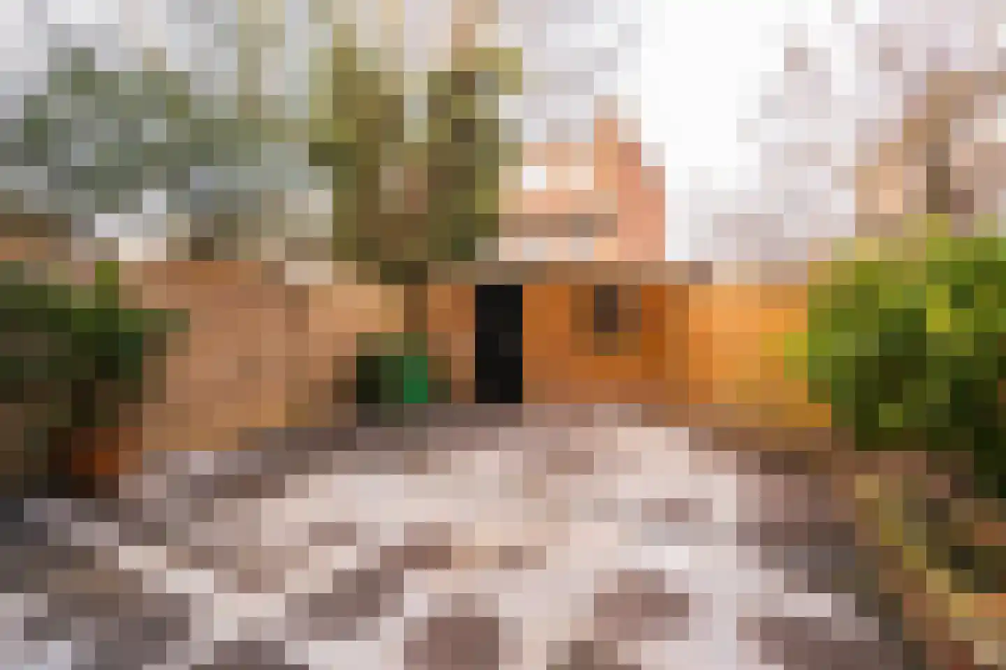Paets van Troostwijkstraat 173 Den Haag thumbnail 10