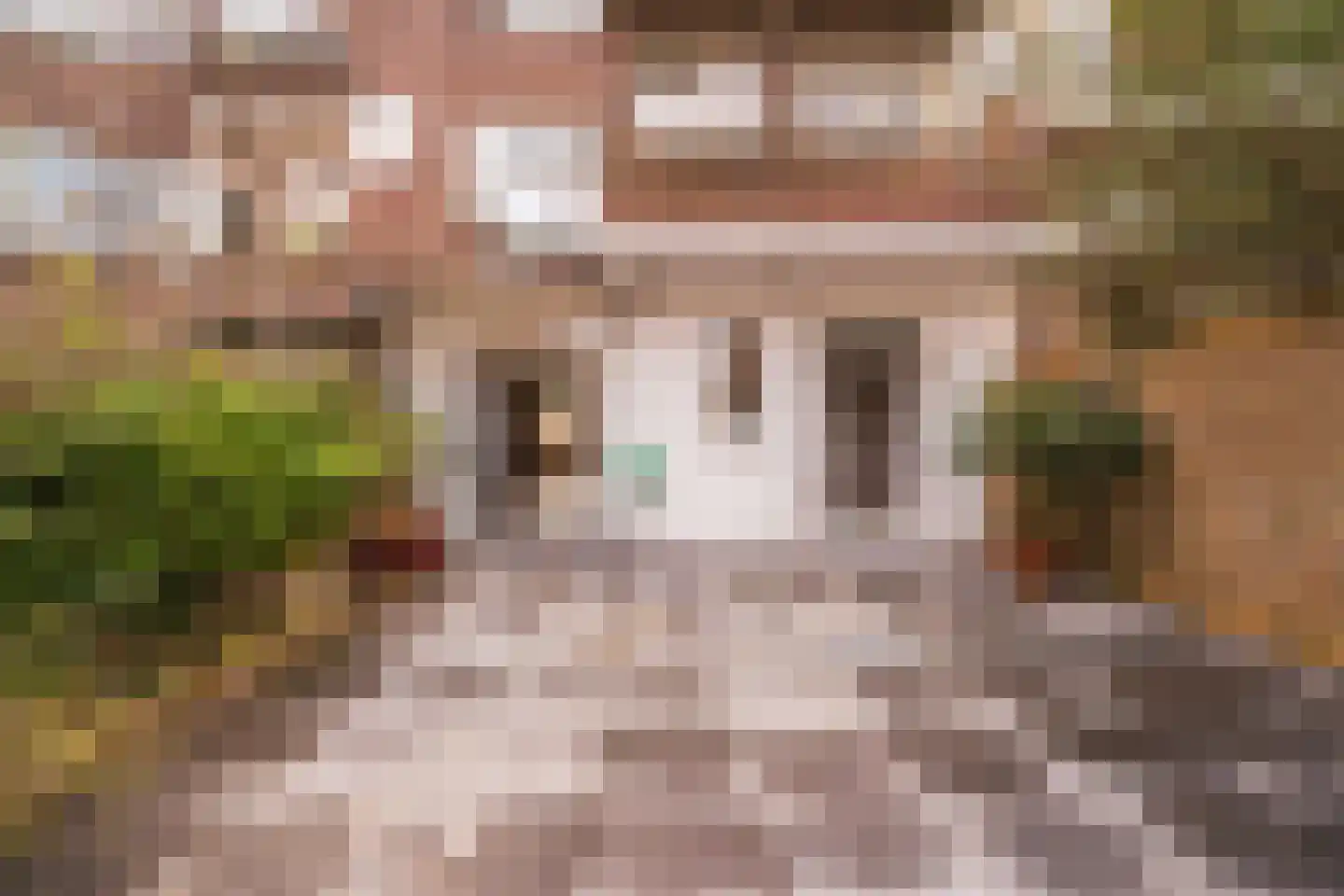 Paets van Troostwijkstraat 173 Den Haag thumbnail 12