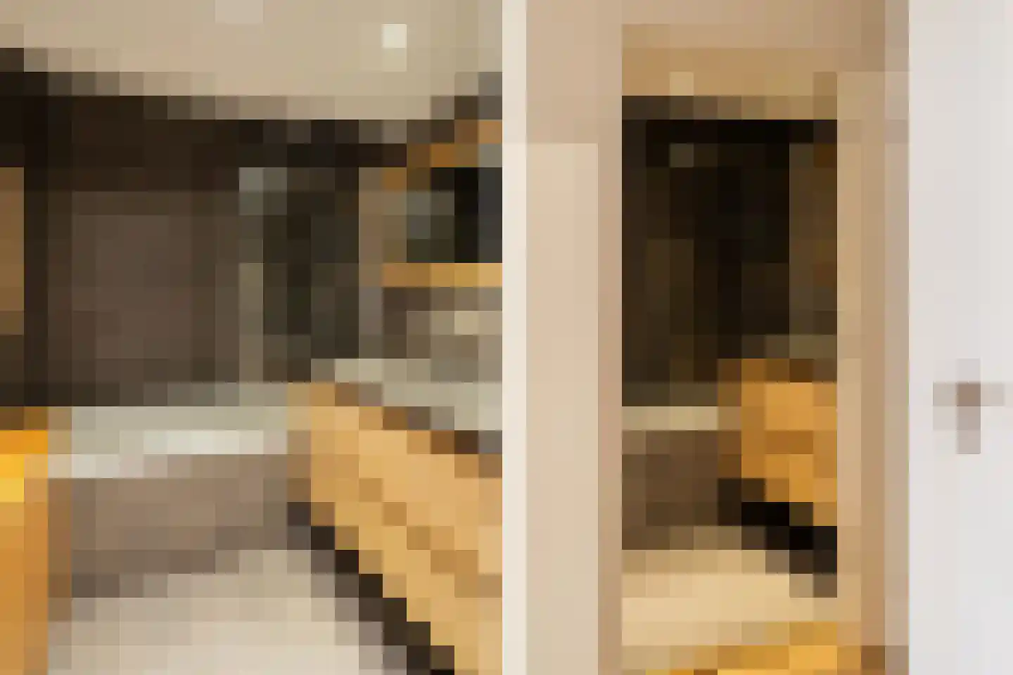 Paets van Troostwijkstraat 173 Den Haag thumbnail 19