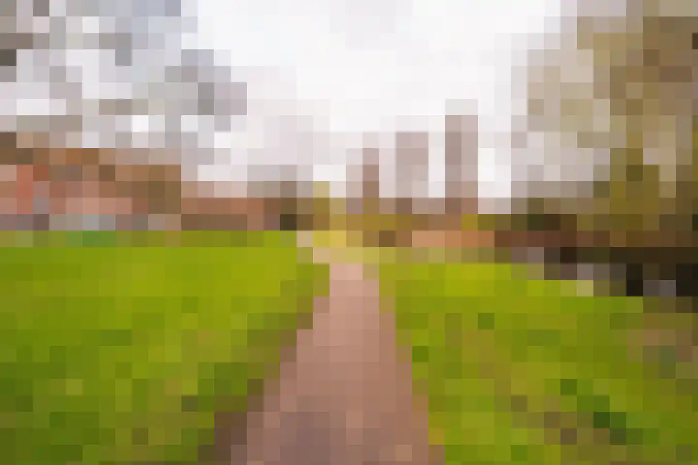 Paets van Troostwijkstraat 173 Den Haag thumbnail 23