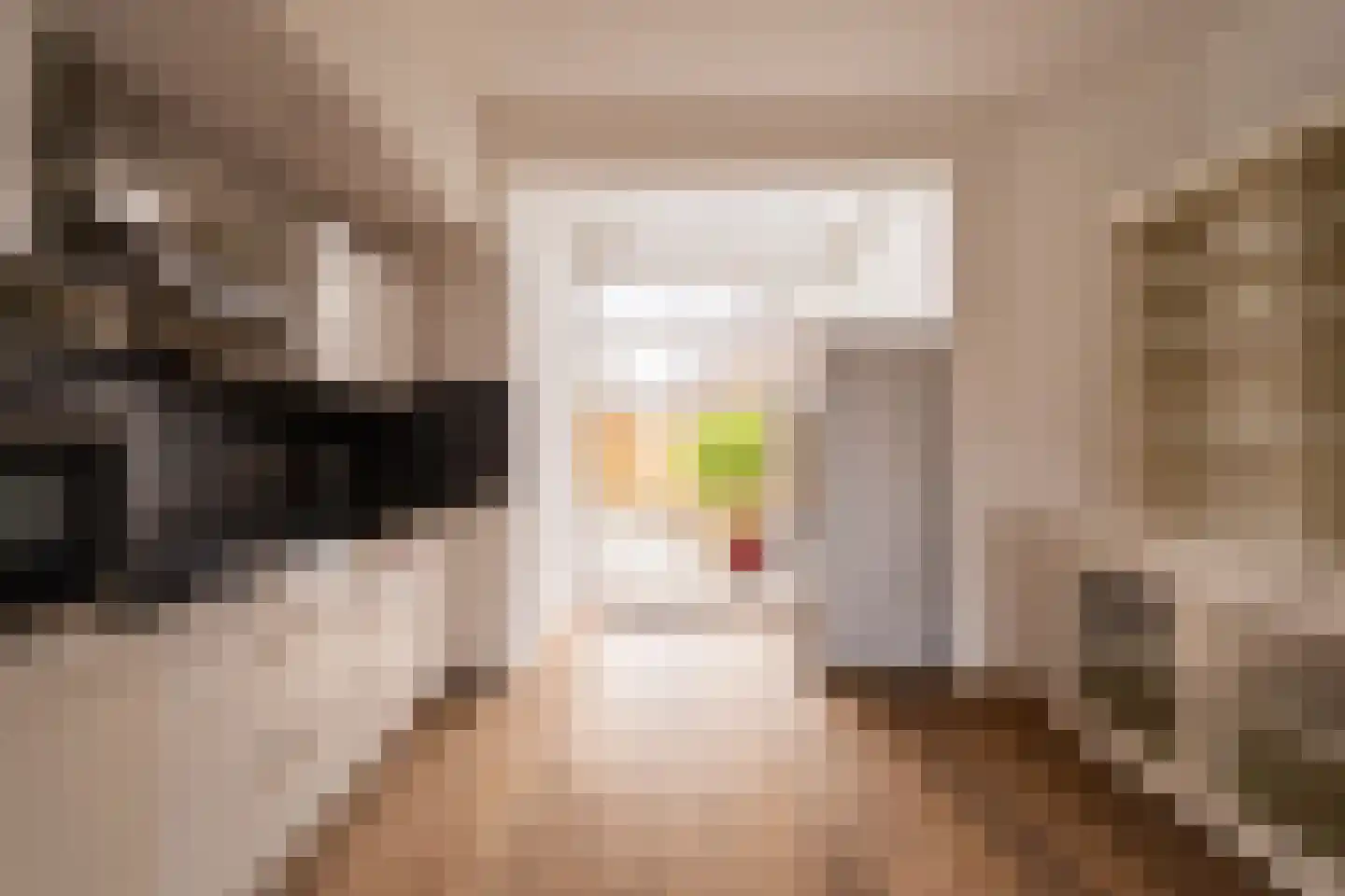 Paets van Troostwijkstraat 173 Den Haag thumbnail 8