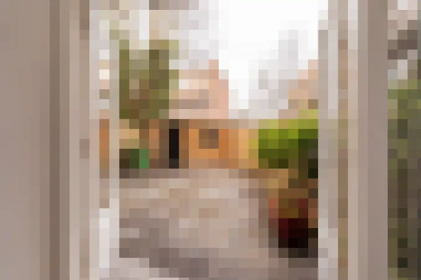 Paets van Troostwijkstraat 173 Den Haag thumbnail 9