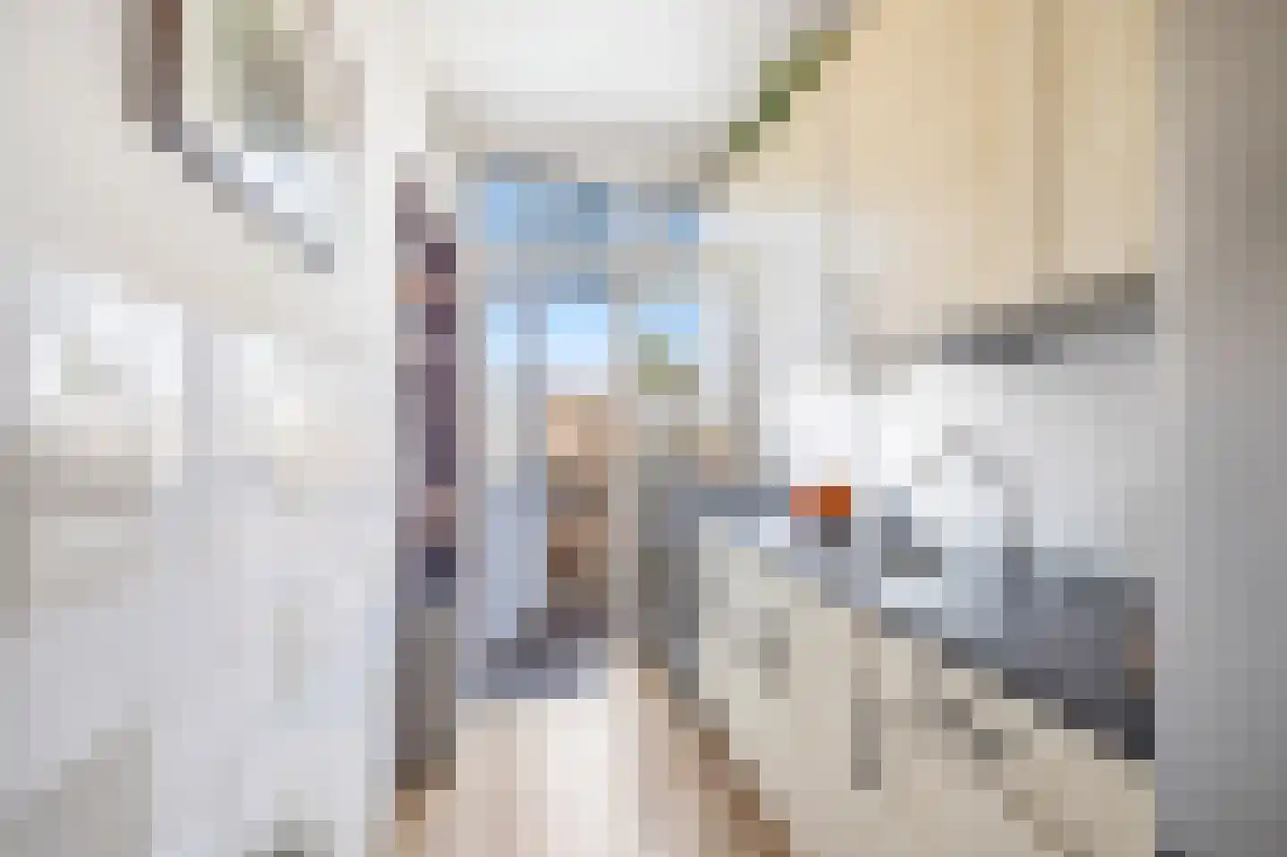 Paets van Troostwijkstraat 221 Den Haag thumbnail 18