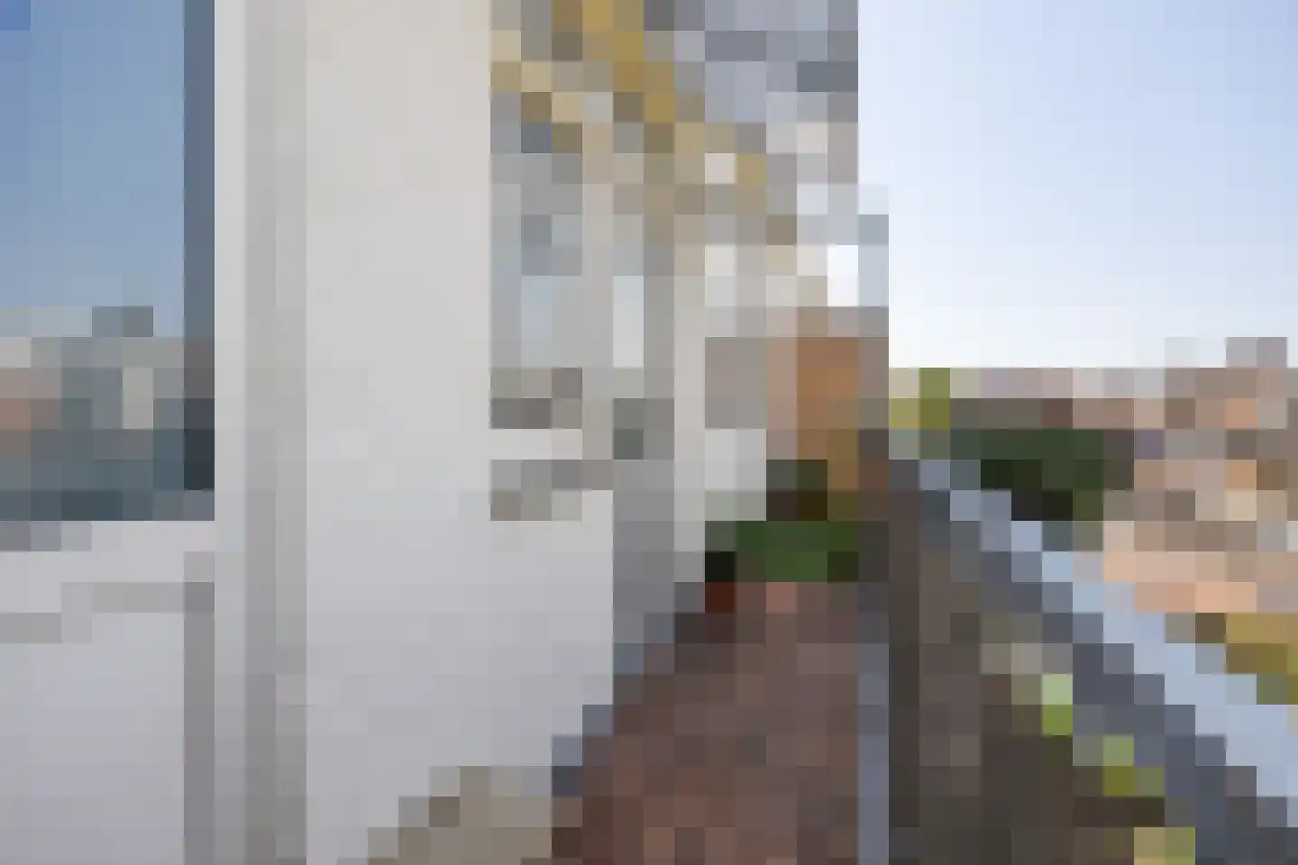 Paets van Troostwijkstraat 221 Den Haag thumbnail 20
