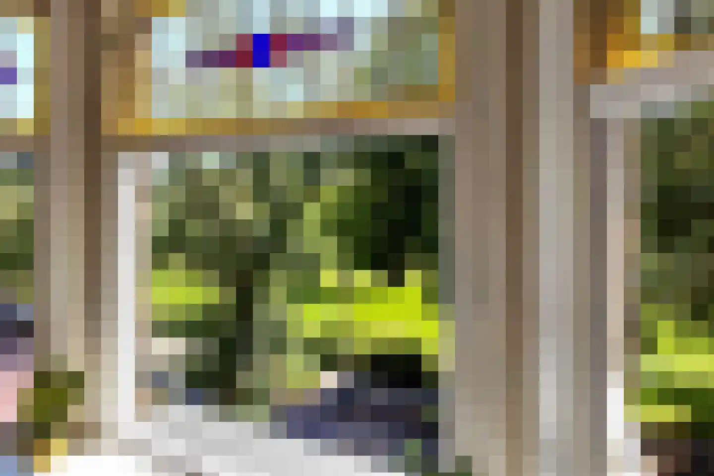 Paets van Troostwijkstraat 221 Den Haag thumbnail 5