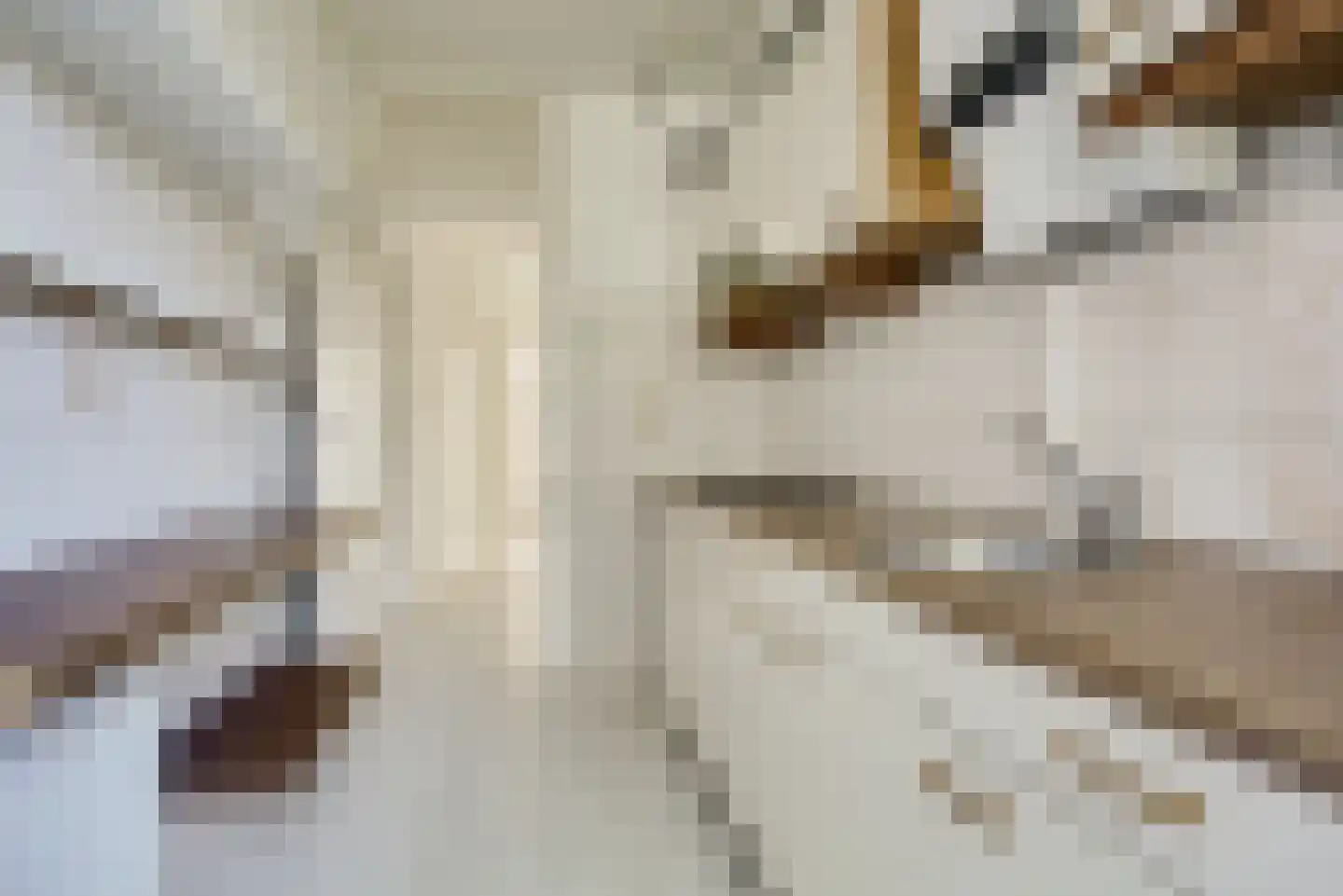 Paets van Troostwijkstraat 275 Den Haag thumbnail 18