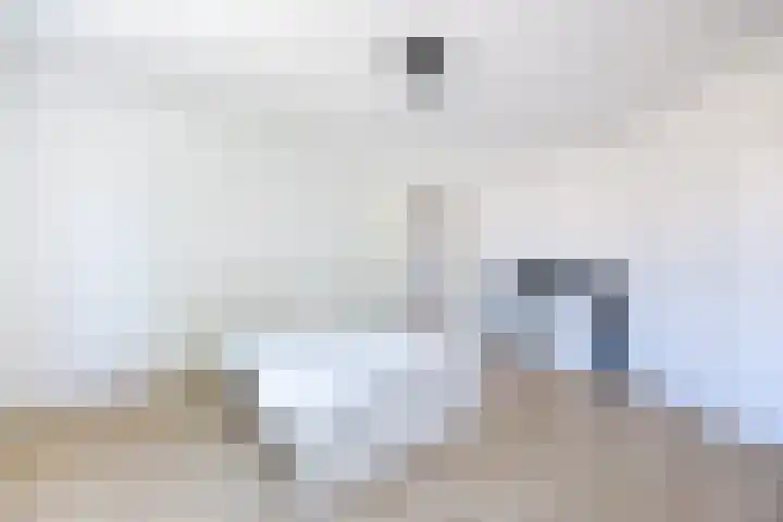 Paets van Troostwijkstraat 5 Den Haag thumbnail 8