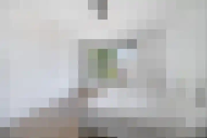 Paets van Troostwijkstraat 5 Den Haag thumbnail 9