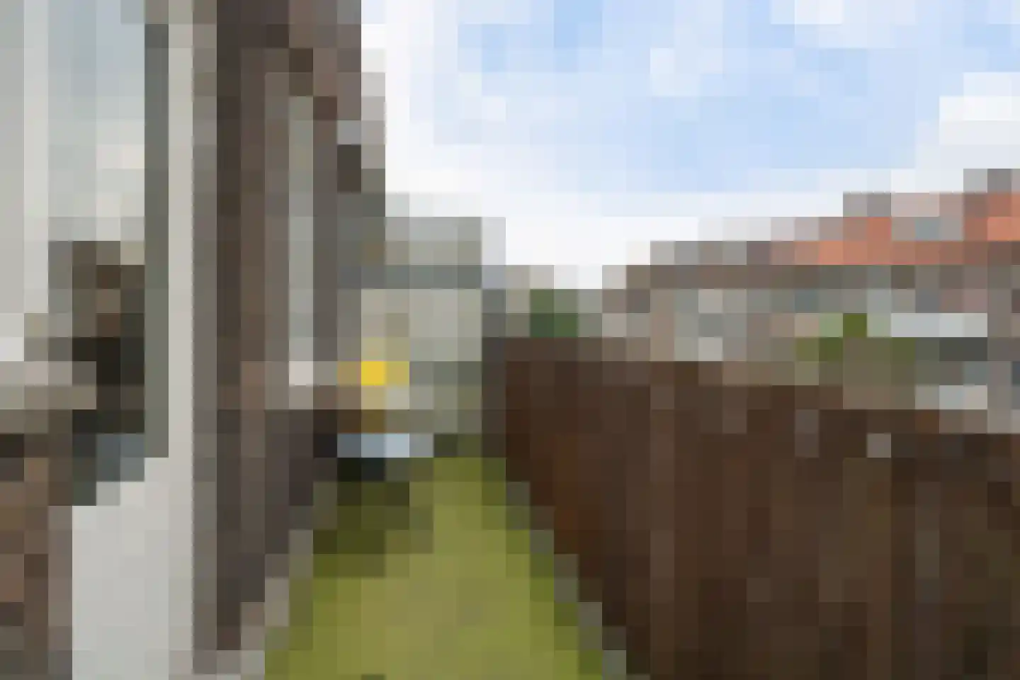 Paetsstraat 13 B Rotterdam thumbnail 22