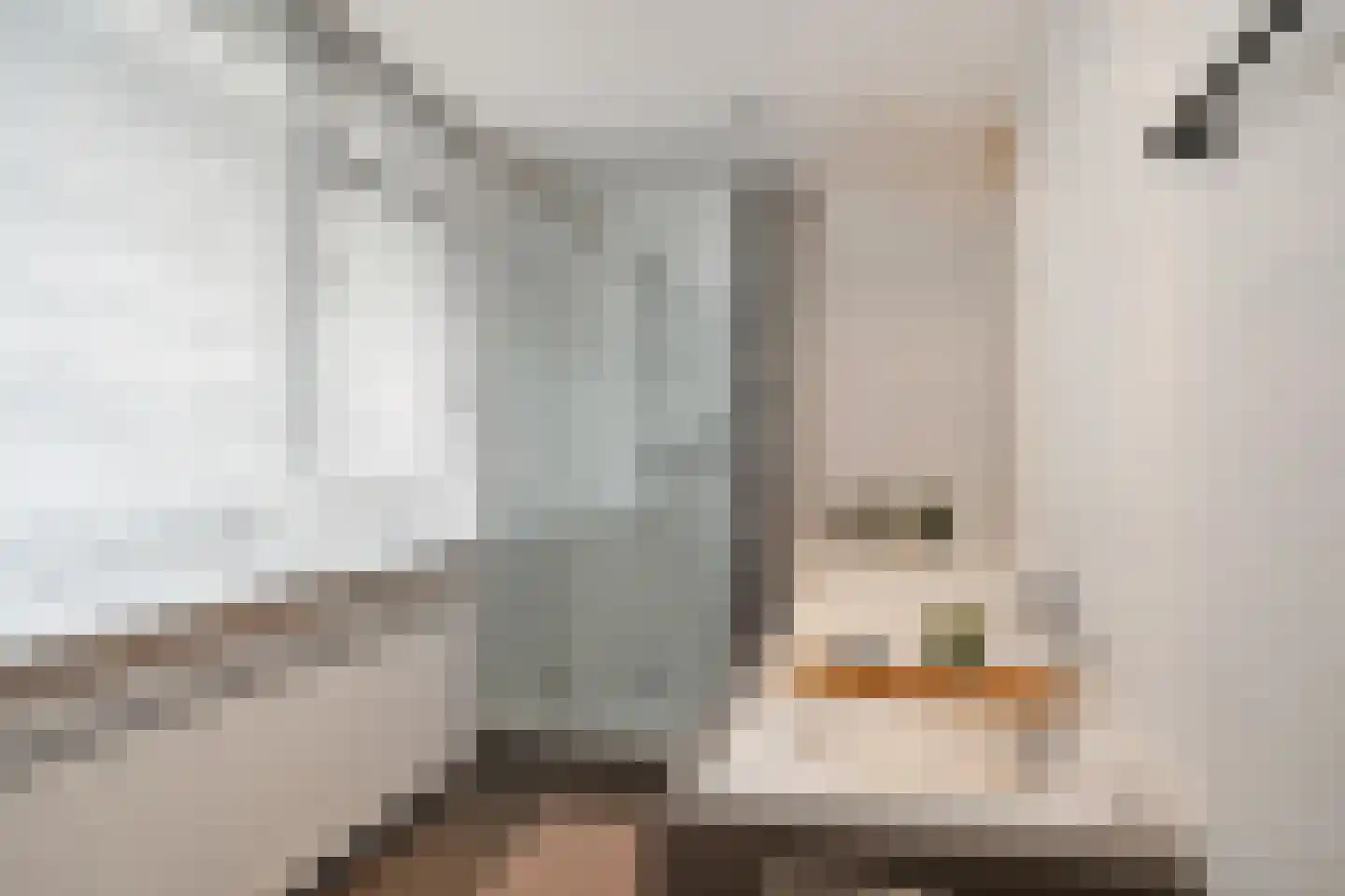 Paetsstraat 13 B Rotterdam thumbnail 34