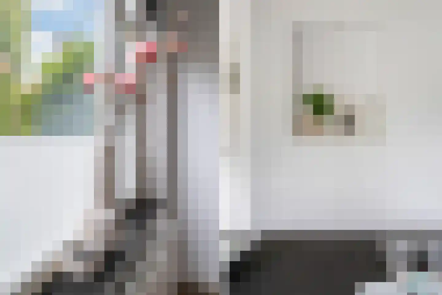 Paetsstraat 2 A Rotterdam thumbnail 17