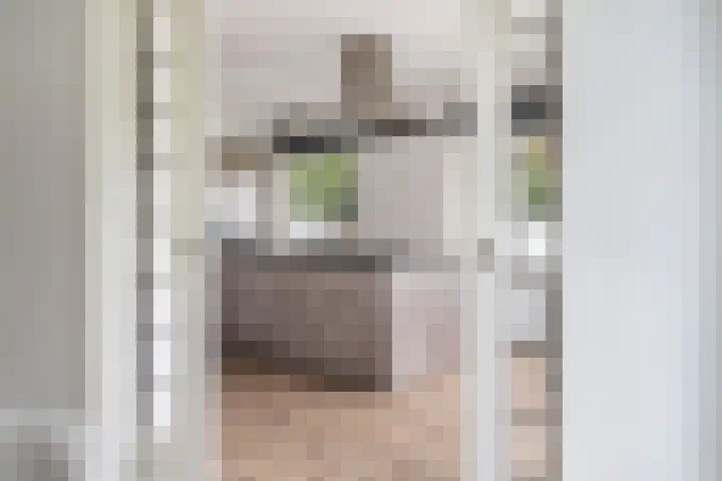 Paetsstraat 2 A Rotterdam thumbnail 22