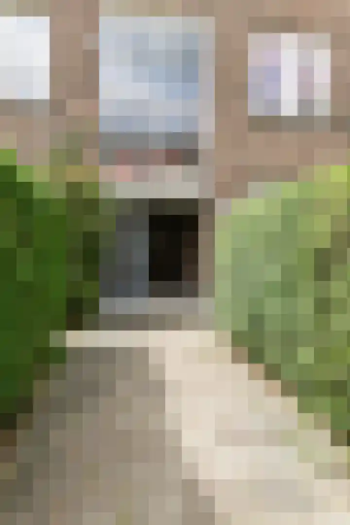 Paetsstraat 25 A Rotterdam thumbnail 4