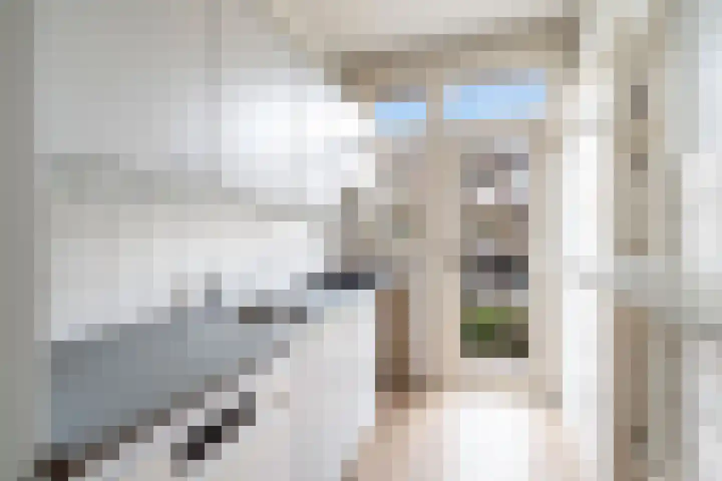 Paetsstraat 32 B Rotterdam thumbnail 26