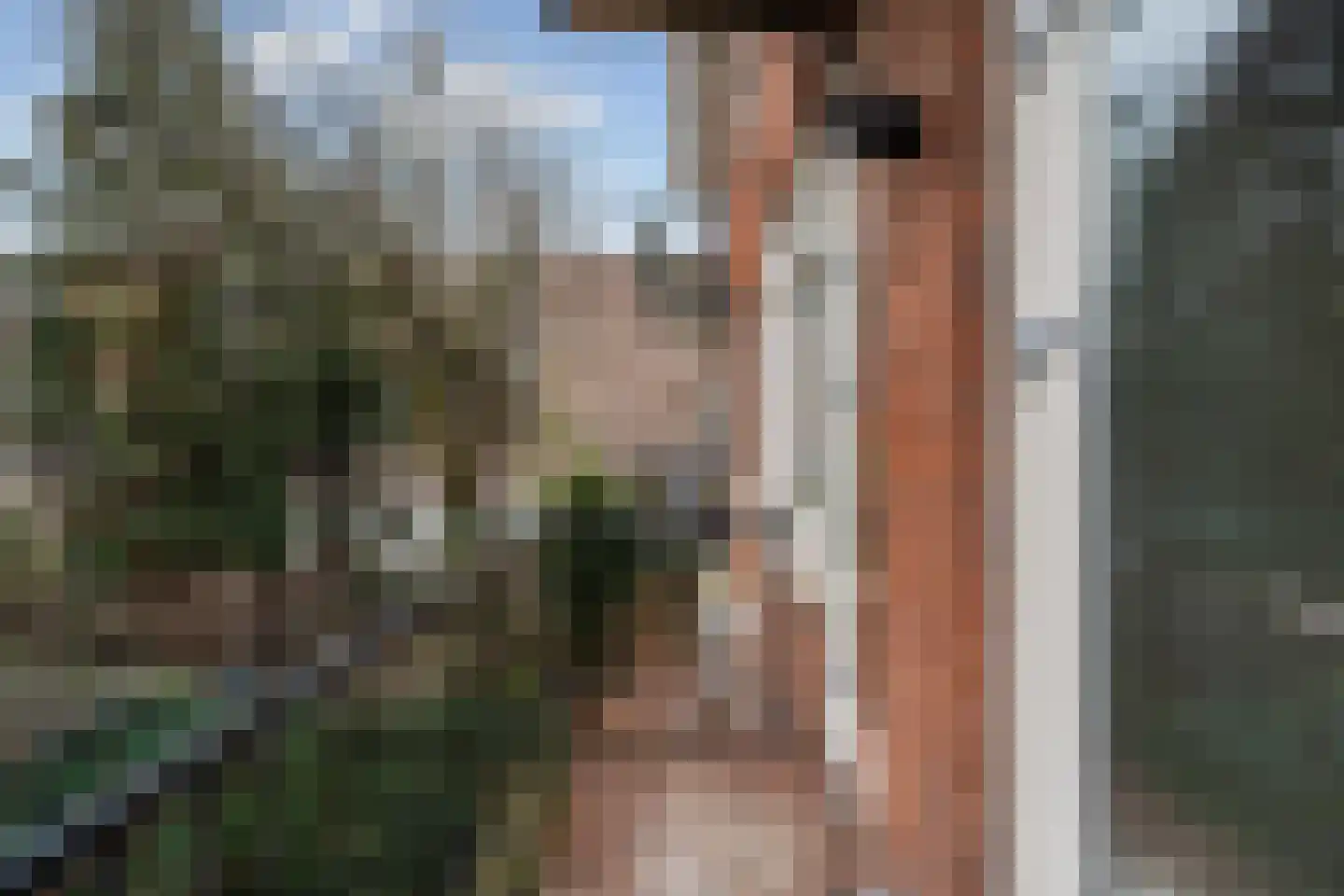 Paetsstraat 32 B Rotterdam thumbnail 31