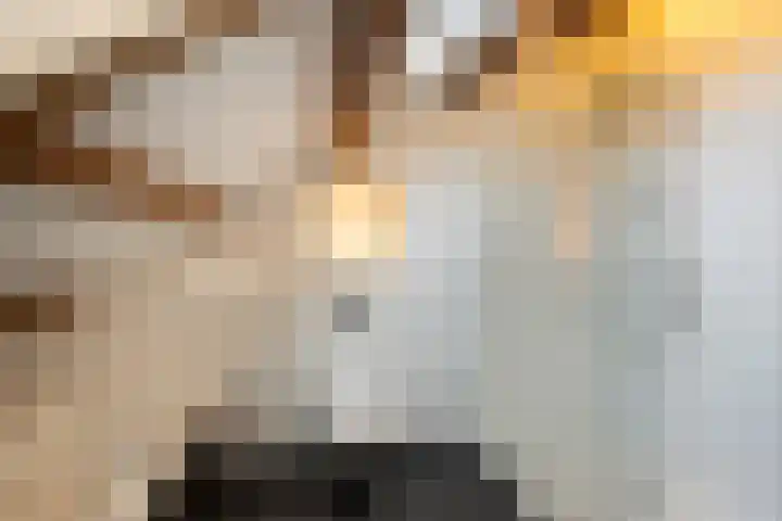 Paetsstraat 32 C Rotterdam thumbnail 28
