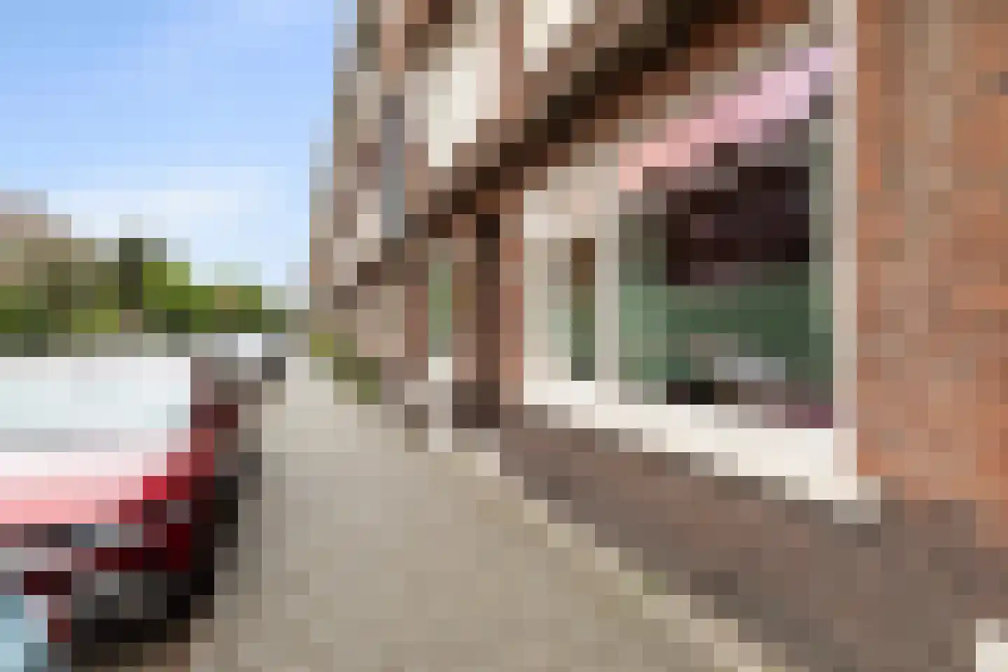 Paetsstraat 32 C Rotterdam thumbnail 35