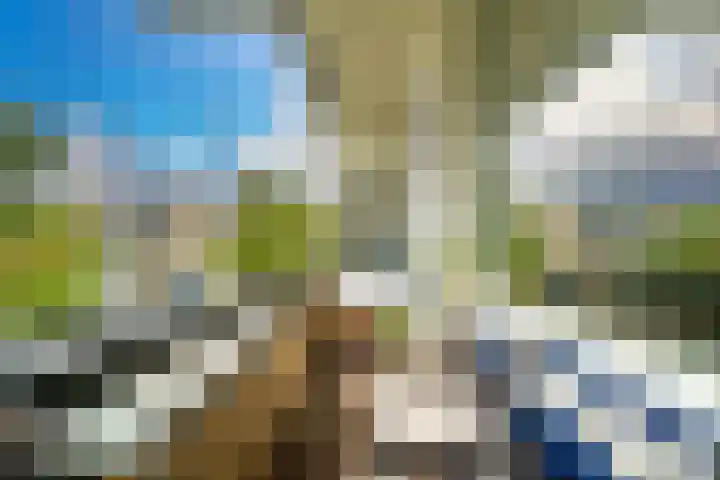 Paganinidreef 16 Voorschoten thumbnail 13