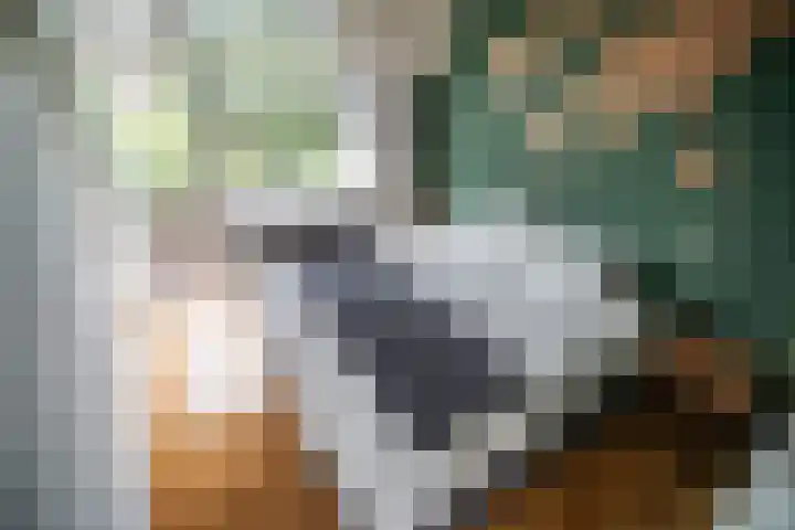 Paganinidreef 16 Voorschoten thumbnail 17