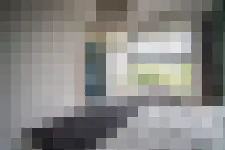 Paganinidreef 16 Voorschoten thumbnail 18