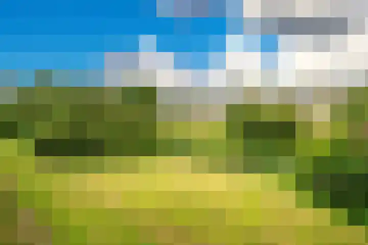 Paganinidreef 16 Voorschoten thumbnail 22