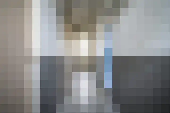 Paganinidreef 16 Voorschoten thumbnail 38