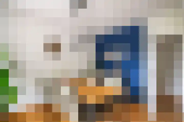 Paganinidreef 16 Voorschoten thumbnail 7