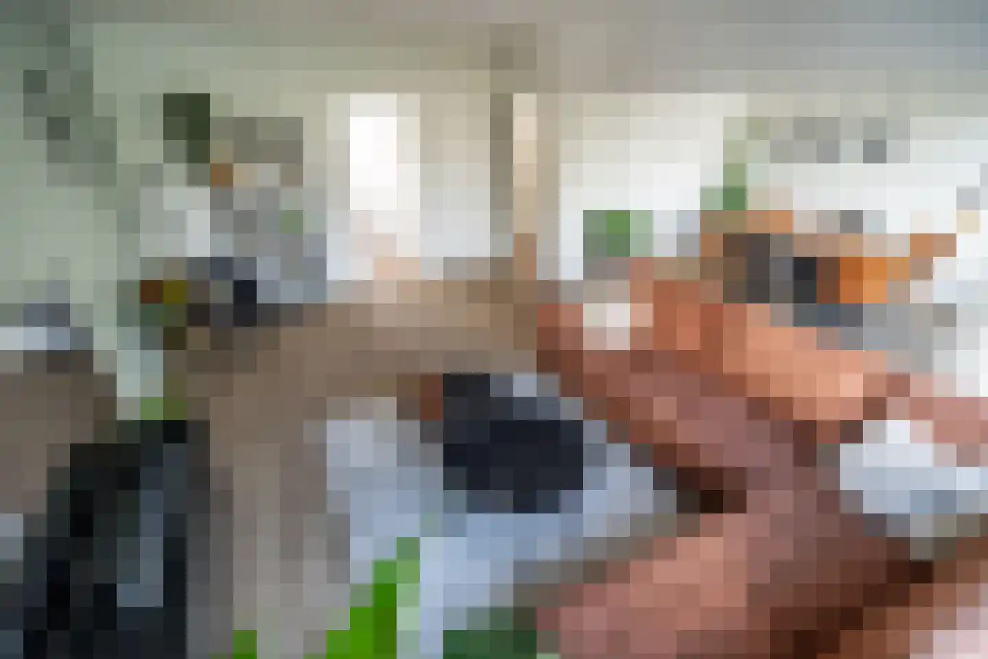 Paganinidreef 19 Voorschoten thumbnail 14