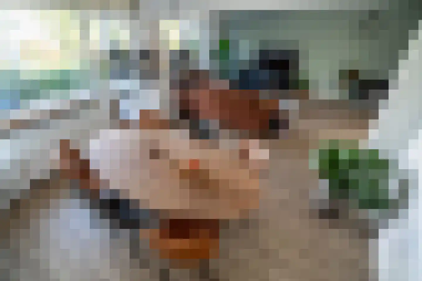 Paganinidreef 19 Voorschoten thumbnail 16
