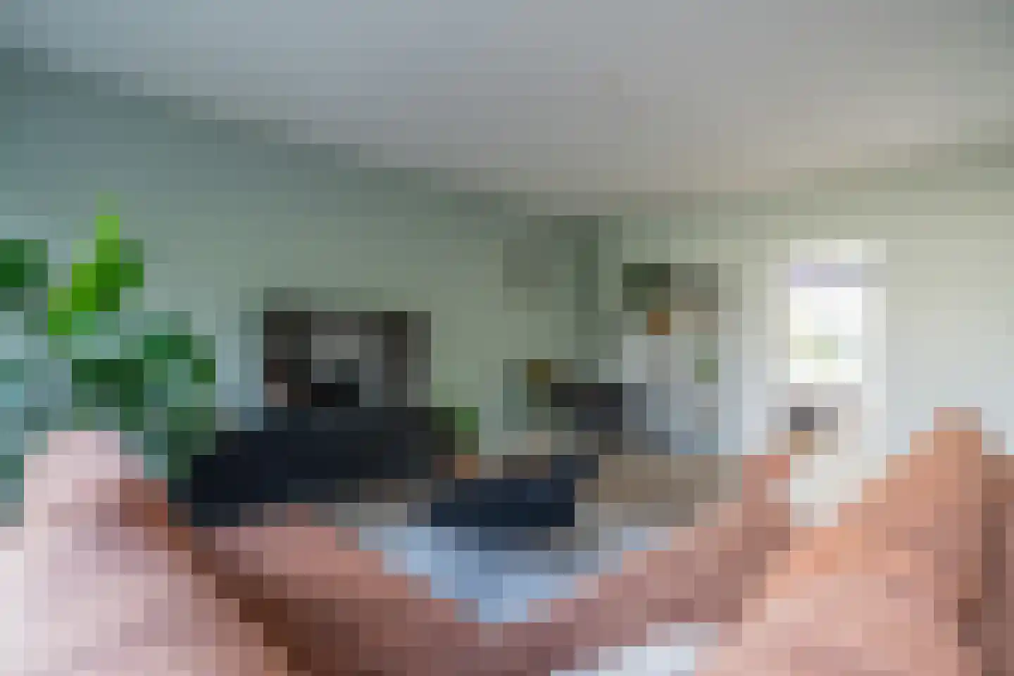 Paganinidreef 19 Voorschoten thumbnail 17