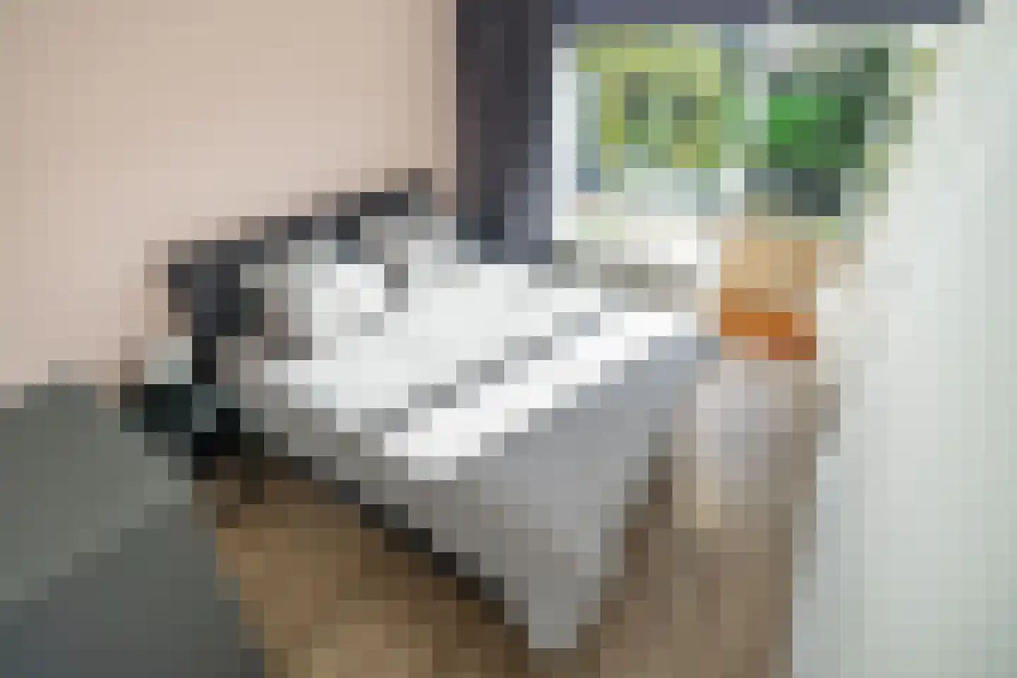 Paganinidreef 19 Voorschoten thumbnail 18