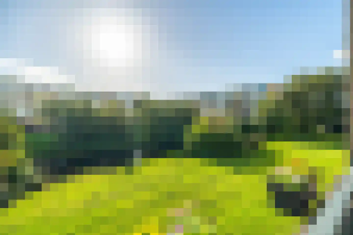 Paganinidreef 19 Voorschoten thumbnail 22