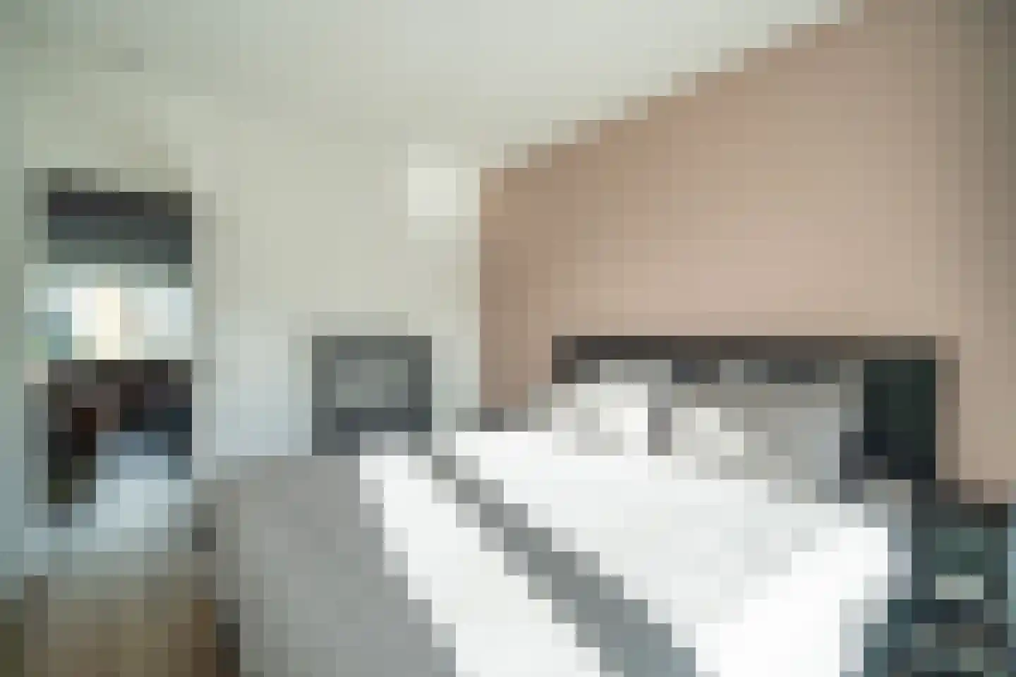 Paganinidreef 19 Voorschoten thumbnail 27