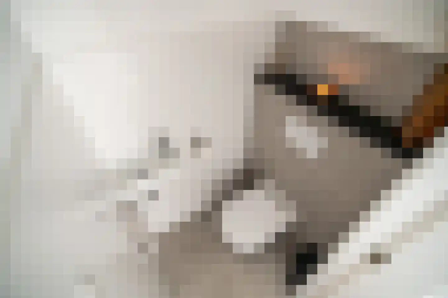Paganinidreef 19 Voorschoten thumbnail 32