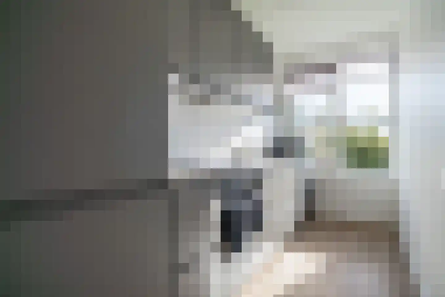 Paganinidreef 19 Voorschoten thumbnail 33