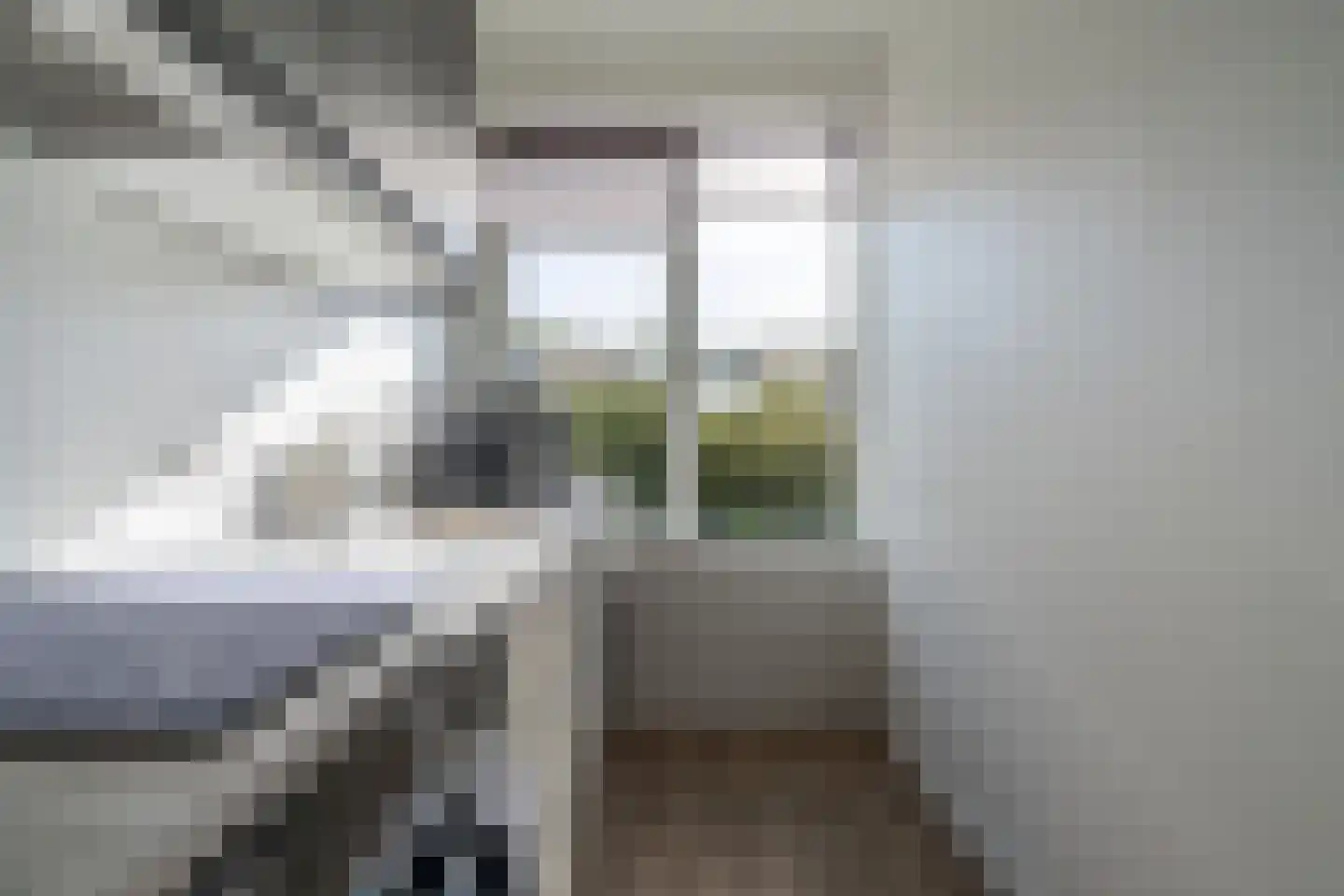 Paganinidreef 19 Voorschoten thumbnail 34