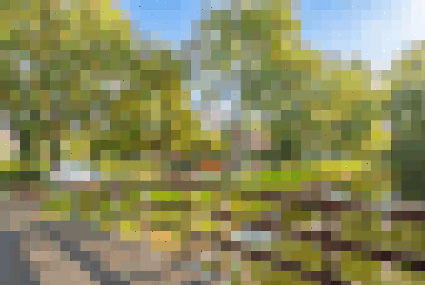 Paganinidreef 19 Voorschoten thumbnail 45