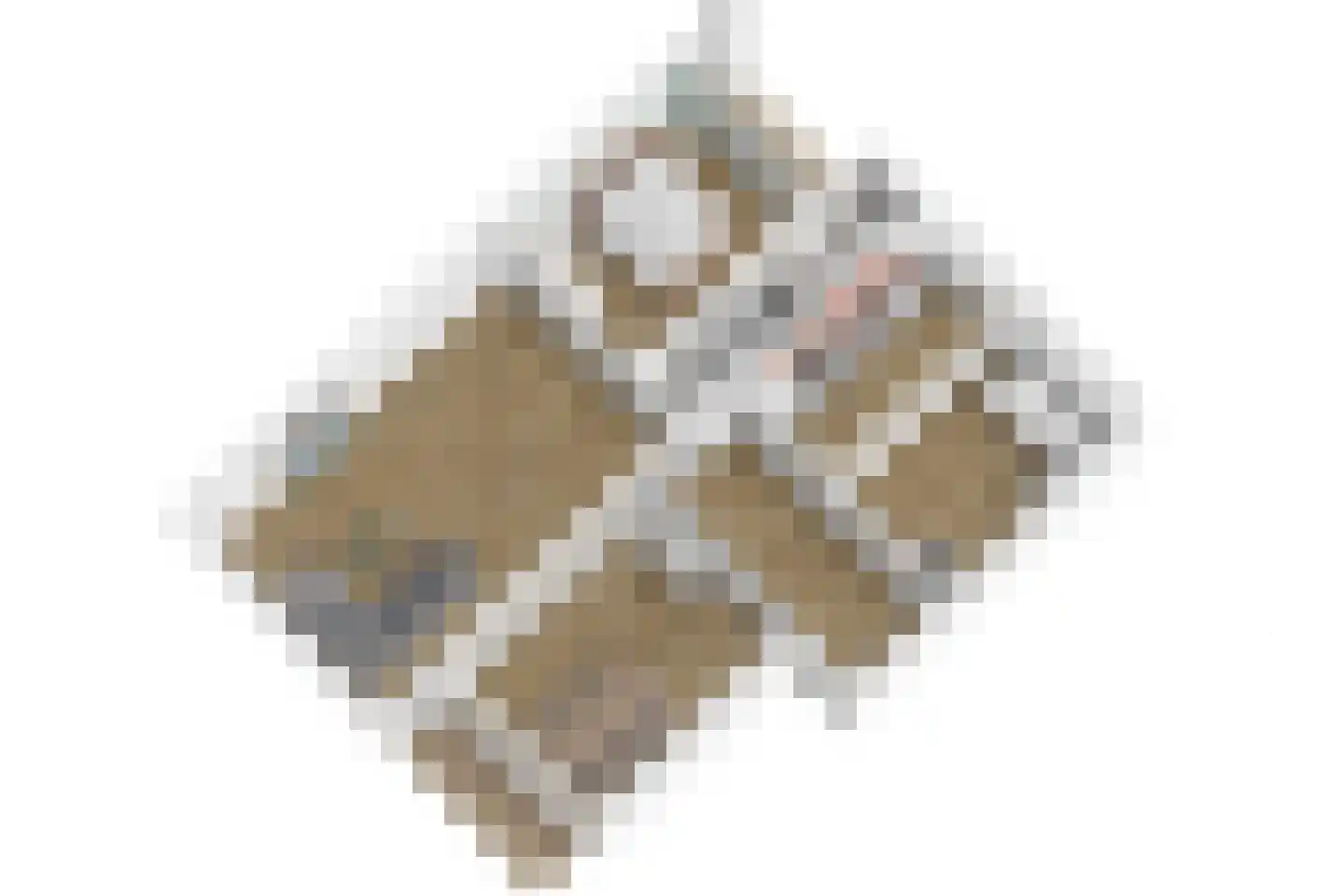Paganinidreef 19 Voorschoten thumbnail 46